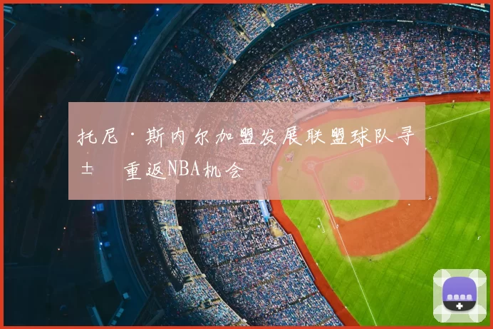 托尼·斯内尔加盟发展联盟球队寻求重返NBA机会