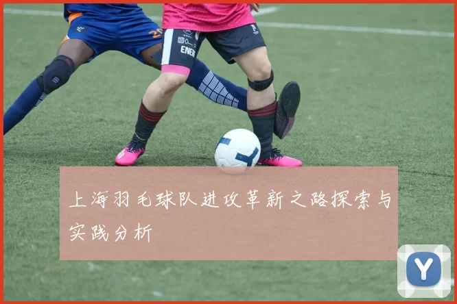 上海羽毛球队进攻革新之路探索与实践分析