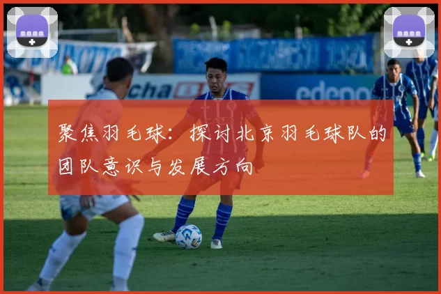 聚焦羽毛球：探讨北京羽毛球队的团队意识与发展方向