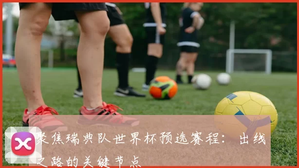 聚焦瑞典队世界杯预选赛程:出线之路的关键节点