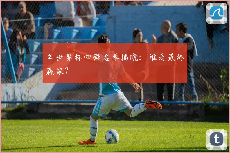 年世界杯四强名单揭晓：谁是最终赢家？