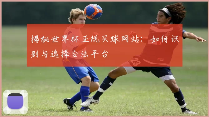 揭秘世界杯正规买球网站：如何识别与选择合法平台
