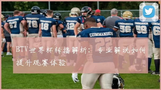 BTV世界杯转播解析:专业解说如何提升观赛体验