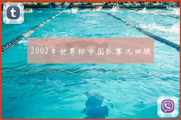 2002年世界杯中国队赛况回顾
