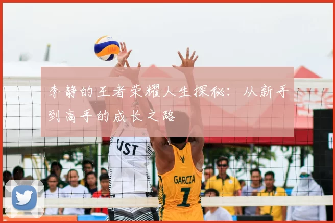李静的王者荣耀人生探秘：从新手到高手的成长之路