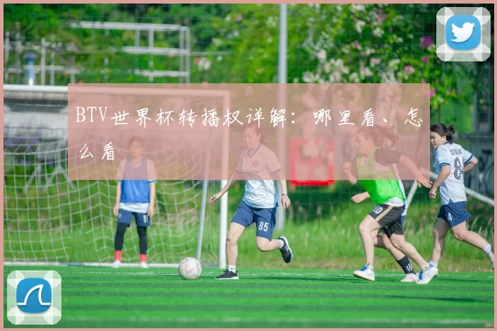 BTV世界杯转播权详解:哪里看、怎么看
