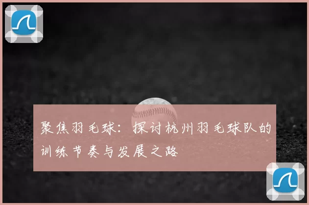 聚焦羽毛球:探讨杭州羽毛球队的训练节奏与发展之路