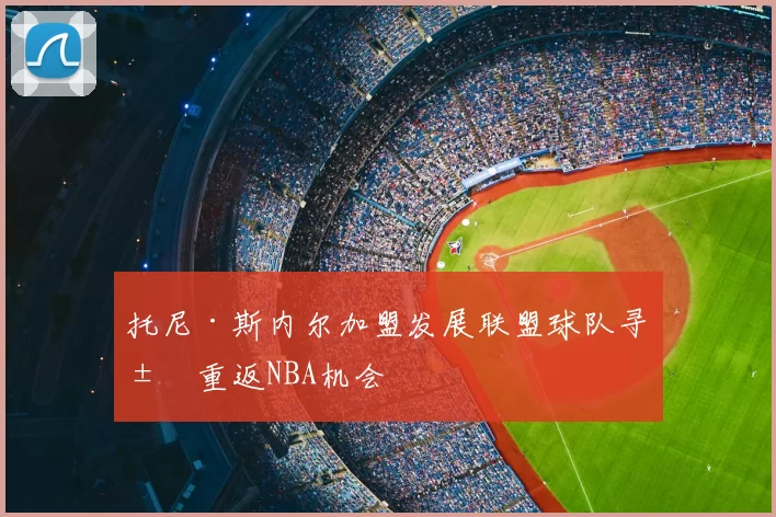 托尼·斯内尔加盟发展联盟球队寻求重返NBA机会