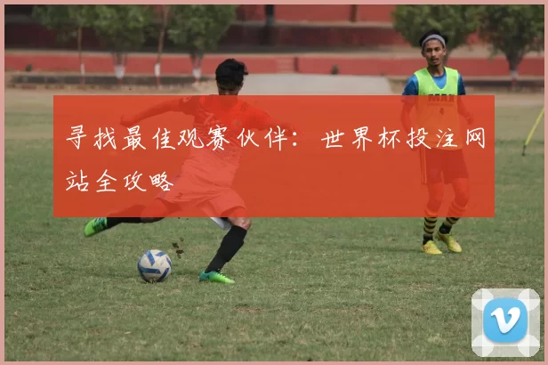 寻找最佳观赛伙伴:世界杯投注网站全攻略