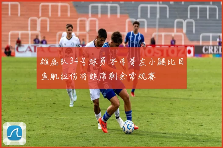 雄鹿队34号球员字母哥左小腿比目鱼肌拉伤将缺席剩余常规赛