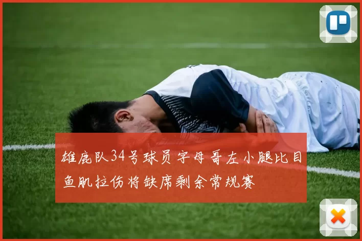雄鹿队34号球员字母哥左小腿比目鱼肌拉伤将缺席剩余常规赛