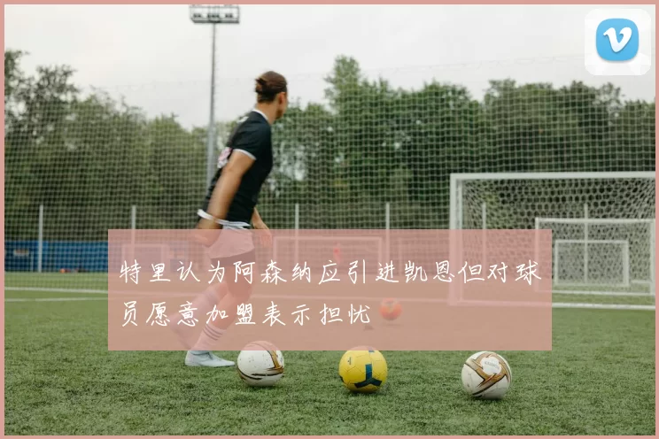 特里认为阿森纳应引进凯恩但对球员愿意加盟表示担忧