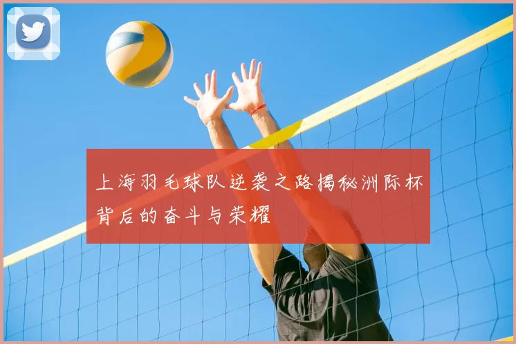 上海羽毛球队逆袭之路揭秘洲际杯背后的奋斗与荣耀